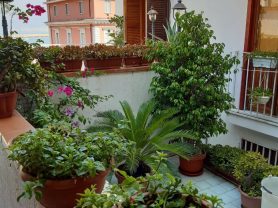 Vacanze Spensierate