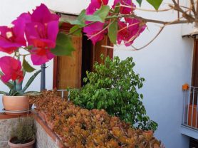 Vacanze Spensierate